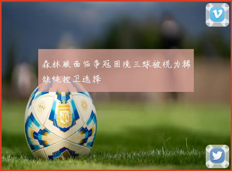 森林狼面临争冠困境三球被视为稀缺纯控卫选择