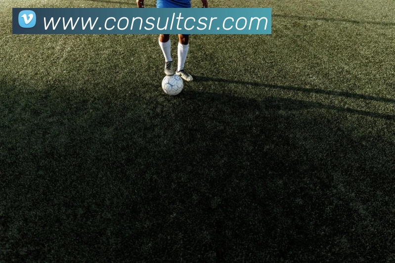 AI Risk Control
